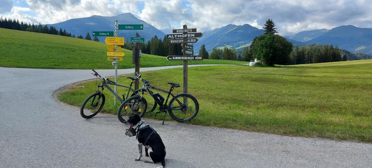 Camping Bella Austria Sankt Peter am Kammersberg Ngoại thất bức ảnh