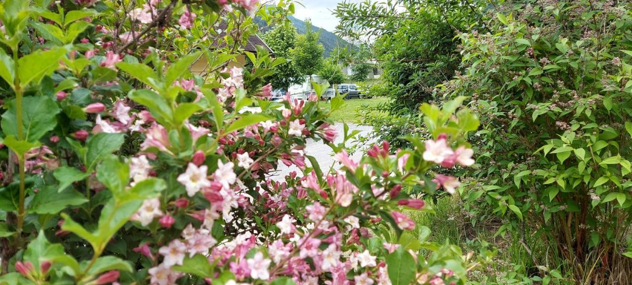 Camping Bella Austria Sankt Peter am Kammersberg Ngoại thất bức ảnh