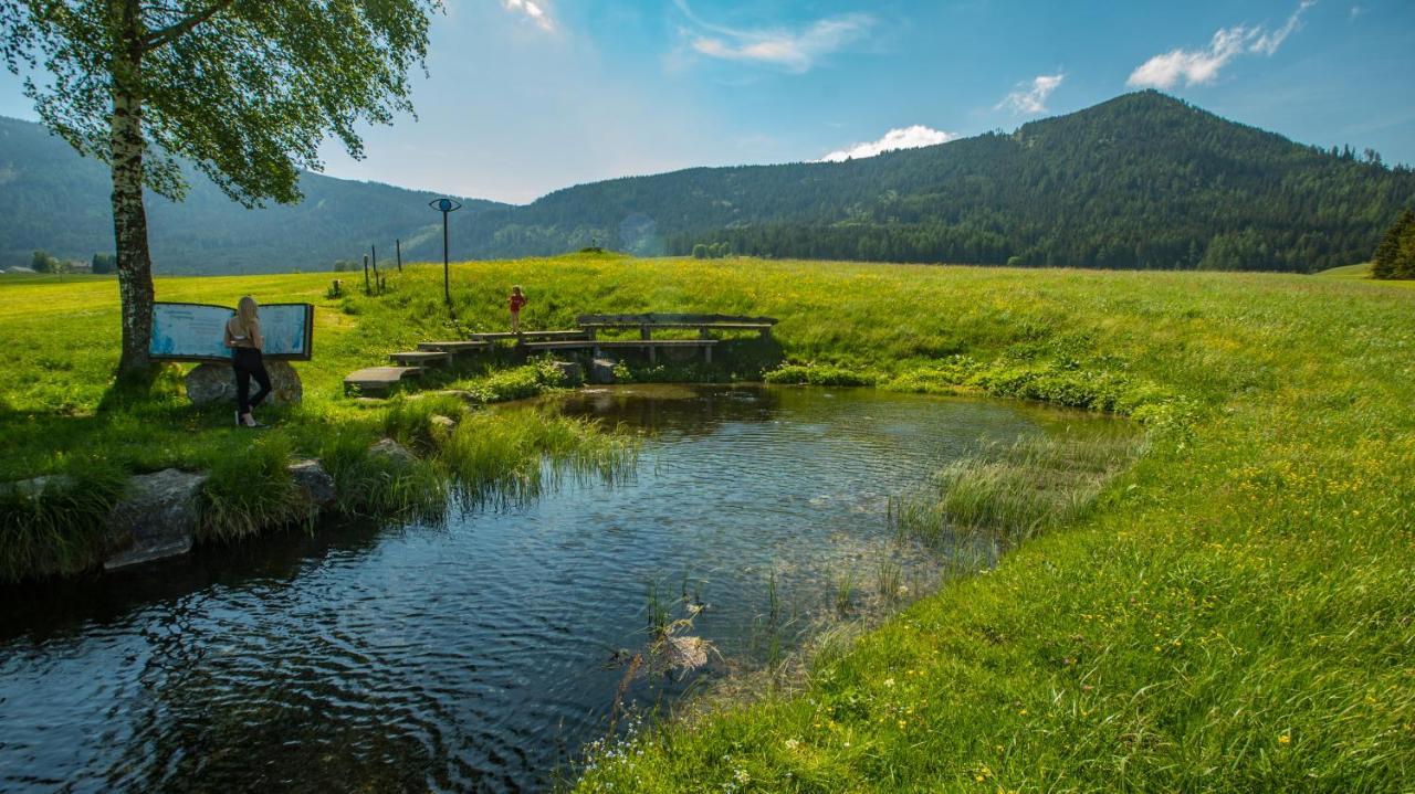 Camping Bella Austria Sankt Peter am Kammersberg Ngoại thất bức ảnh