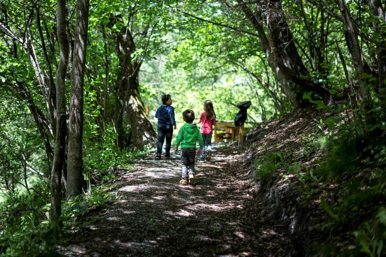 Camping Bella Austria Sankt Peter am Kammersberg Ngoại thất bức ảnh